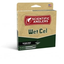 Soie Wet Cel pointe plongeante S4 Scientific Anglers