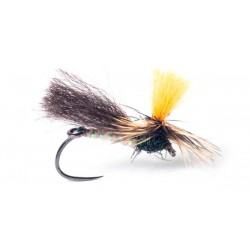 indi-caddis-sèche-indicateur