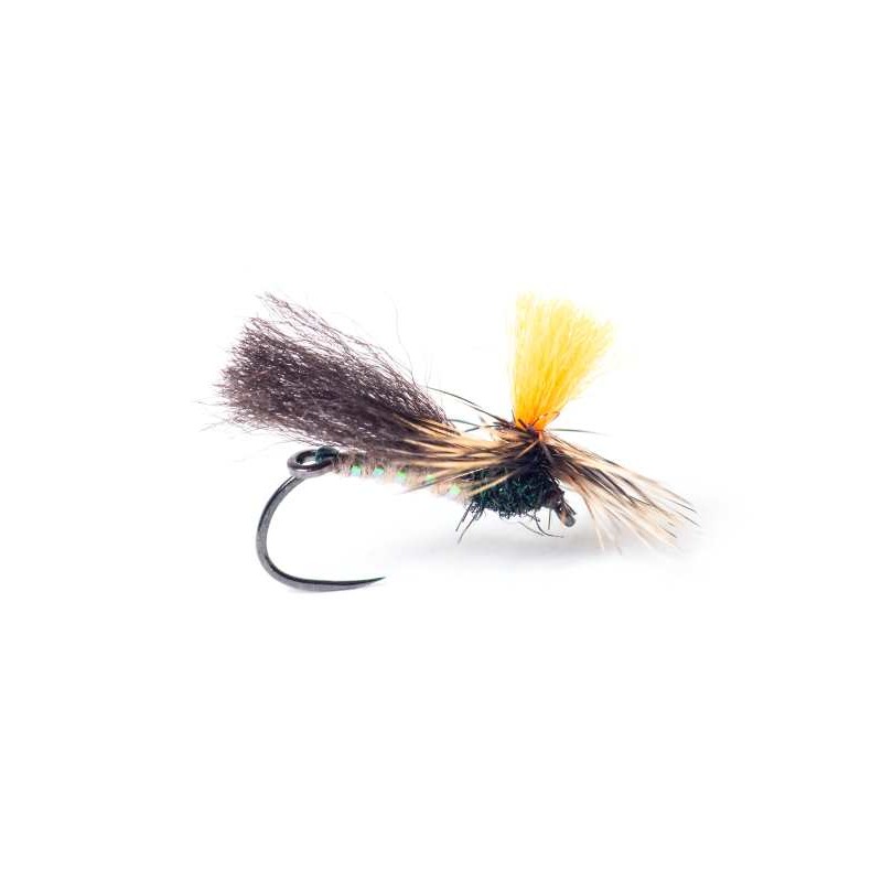 indi-caddis-sèche-indicateur