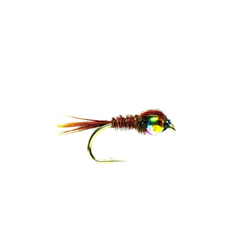 nymphe-pheasant-tail-aec