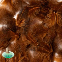 Plumes de perdrix partridge hackle dyed brown