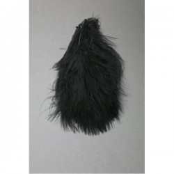 Longues plumes de marabou